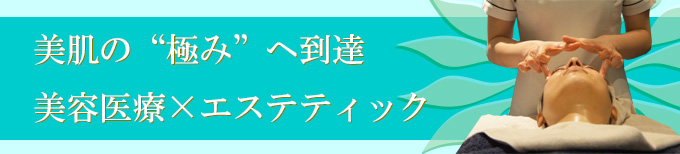 メディカルエステ 横浜 桜木町の テティス横濱美容皮膚科